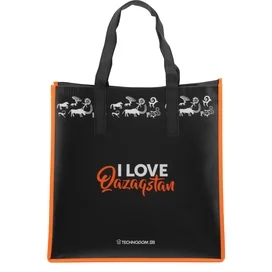 Сумка полипропилен, Technodom "I Love Qazaqstan", 37*37*25 см (BAG_I_love_KZ) фото