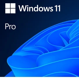 Microsoft Windows 11 Professional 64-bit All Lng PK Lic Online DwnLd NR (ESD) фото #1