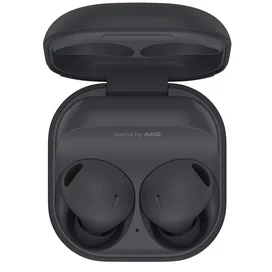 Наушники Вставные Samsung Bluetooth Galaxy Buds2 Pro TWS, Gray (SM-R510NZAACIS) фото