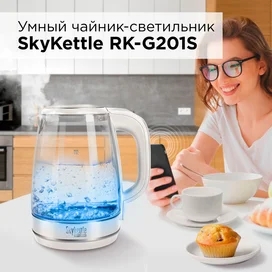 Электрический чайник Redmond SkyKettle RK-G201S фото #1