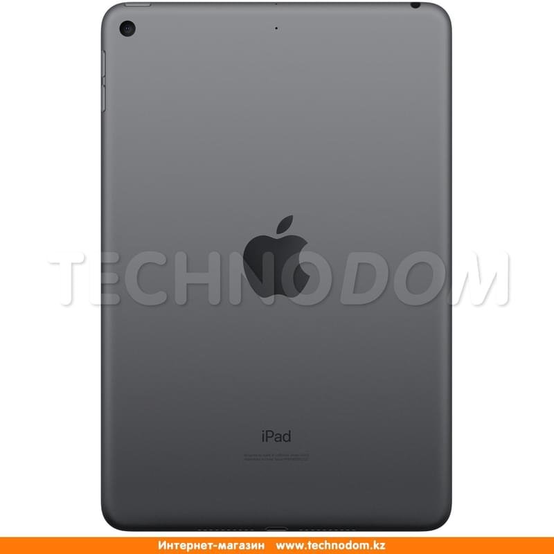 Планшет Apple iPad mini 2019 64GB WiFi Space Grey (MUQW2RK/A) - фото #1