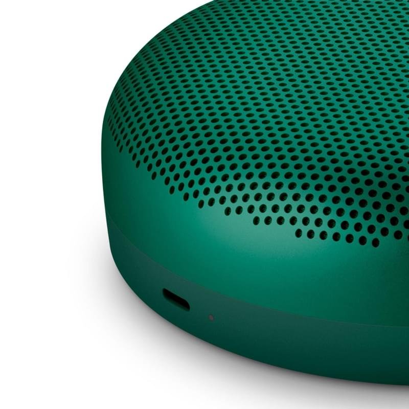 Bluetooth B&O BeoSound A1 2nd Gen колонкасы, Green - фото #4